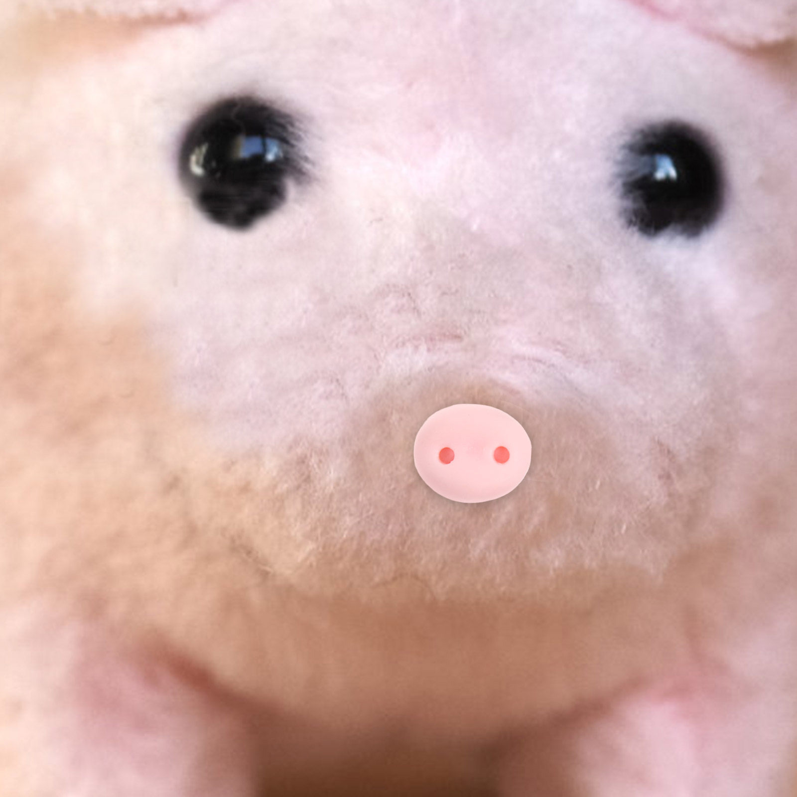 100Pcs Resin Pig Noses Craft E - Embellishment Glue Craft ulasan dan harga